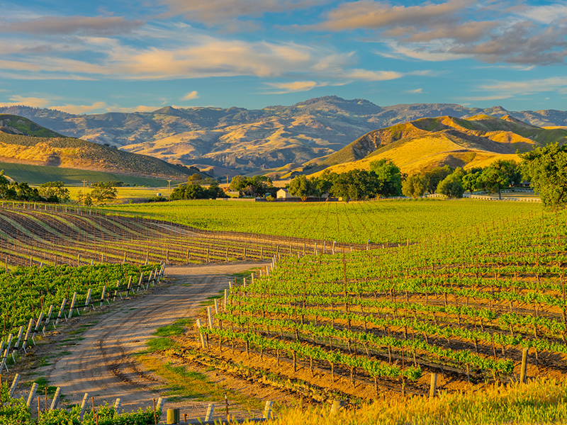 Santa Ynez JC Properties Realtors CA